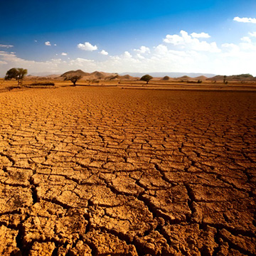 Dried Farm Land